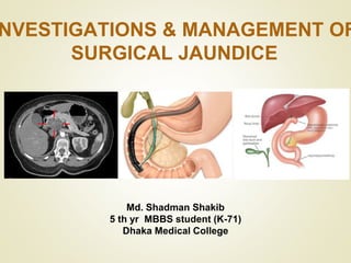 NVESTIGATIONS & MANAGEMENT OF
SURGICAL JAUNDICE
Md. Shadman Shakib
5 th yr MBBS student (K-71)
Dhaka Medical College
 