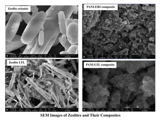 PANI-ERI composite
Zeolite erionite
Zeolite LTL
PANI-LTL composite
SEM Images of Zeolites and Their Composites
 