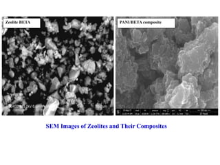 Zeolite BETA PANI/BETA composite
SEM Images of Zeolites and Their Composites
 