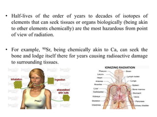 • Half-lives of the order of years to decades of isotopes of
elements that can seek tissues or organs biologically (being akin
to other elements chemically) are the most hazardous from point
of view of radiation.
• For example, 90Sr, being chemically akin to Ca, can seek the
bone and lodge itself there for years causing radioactive damage
to surrounding tissues.
 
