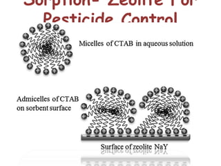 Sorption- Zeolite For
Pesticide Control
 