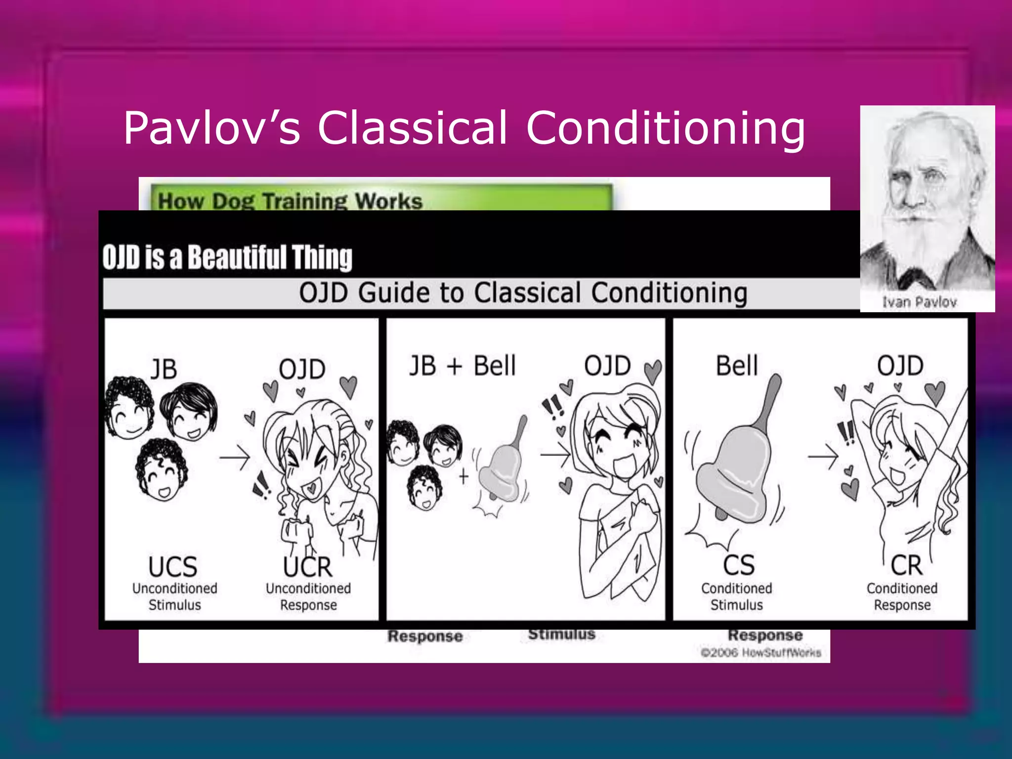 Pavlov’s Classical Conditioning

 