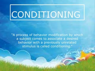 Classical and Operant Conditioning | PPTX