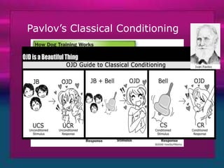 Classical and Operant Conditioning | PPTX
