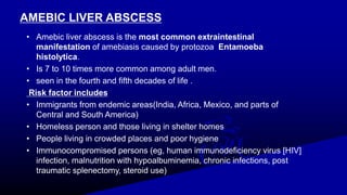 AMEBIC LIVER ABSCESS
• Amebic liver abscess is the most common extraintestinal
manifestation of amebiasis caused by protozoa Entamoeba
histolytica.
• Is 7 to 10 times more common among adult men.
• seen in the fourth and fifth decades of life .
Risk factor includes
• Immigrants from endemic areas(India, Africa, Mexico, and parts of
Central and South America)
• Homeless person and those living in shelter homes
• People living in crowded places and poor hygiene
• Immunocompromised persons (eg, human immunodeficiency virus [HIV]
infection, malnutrition with hypoalbuminemia, chronic infections, post
traumatic splenectomy, steroid use)
 