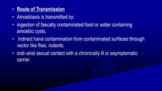 • Route of Transmission
• Amoebiasis is transmitted by:
• ingestion of faecally contaminated food or water containing
amoebic cysts.
• indirect hand contamination from contaminated surfaces through
vector like flies, rodents.
• oral–anal sexual contact with a chronically ill or asymptomatic
carrier.
 