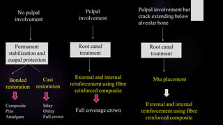 Cuspal Protection Cracks in Endodontics | PPTX