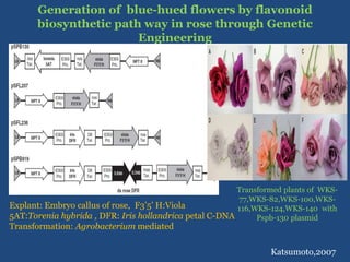 Recent advances in neutraceutical and value addition in ornamental ...