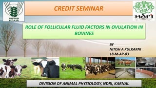 CREDIT SEMINAR
ROLE OF FOLLICULAR FLUID FACTORS IN OVULATION IN
BOVINES
BY
NITISH A KULKARNI
18-M-AP-03
DIVISION OF ANIMAL PHYSIOLOGY, NDRI, KARNAL
 