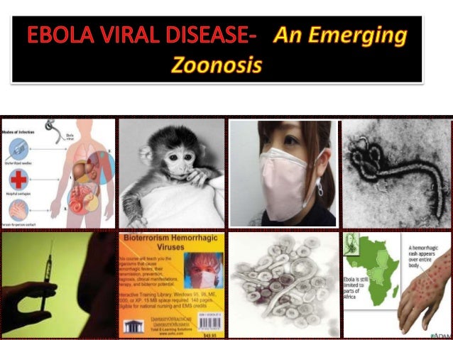 Ebola viral disease