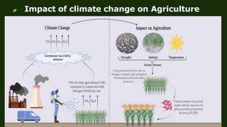 Development of climate resilient crops / agriculture | PPTX