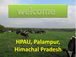 HPAU, Palampur,
Himachal Pradesh
 