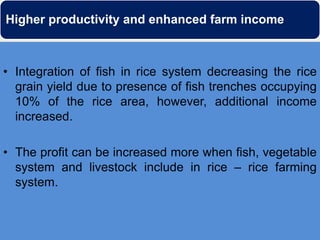 Higher productivity and enhanced farm income



• Integration of fish in rice system decreasing the rice
  grain yield due to presence of fish trenches occupying
  10% of the rice area, however, additional income
  increased.

• The profit can be increased more when fish, vegetable
  system and livestock include in rice – rice farming
  system.
 