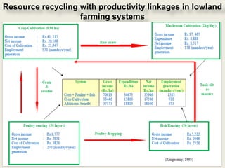 Resource recycling with productivity linkages in lowland
                   farming systems
 