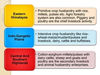 • Primitive crop husbandry with rice,
  Eastern         millets, pulses etc. Agro forestry
 Himalayas        system are also common. Piggery and
                  poultry are the chief livestock activity.


                • Intensive crop husbandry like rice-
Indo-Gangetic     wheat-maize/mustard/pulses and
    Plains        livestock, dairy, cattle and buffaloes.



 Central And    • Cotton-sorghum-millets/pulses with
  Southern        dairy cattle, sheep and goats and
  Highlands       poultry are the secondary livestock
                  and animal husbandry enterprises.
 