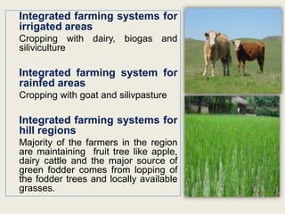 Integrated farming systems for
irrigated areas
Cropping with dairy, biogas and
siliviculture

Integrated farming system for
rainfed areas
Cropping with goat and silivpasture

Integrated farming systems for
hill regions
Majority of the farmers in the region
are maintaining fruit tree like apple,
dairy cattle and the major source of
green fodder comes from lopping of
the fodder trees and locally available
grasses.
 