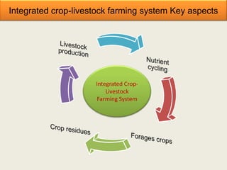 Integrated crop-livestock farming system Key aspects




                     Integrated Crop-
                         Livestock
                      Farming System
 