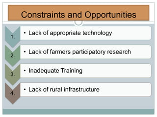 Constraints and Opportunities
     • Lack of appropriate technology
1.

     • Lack of farmers participatory research
2.

     • Inadequate Training
3.

     • Lack of rural infrastructure
4.
 