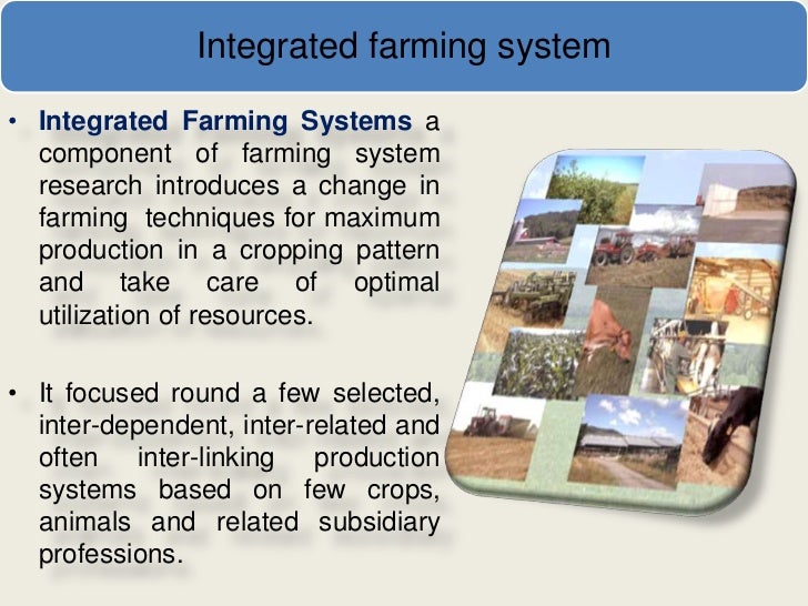 Farming System Approach
