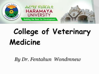 By Dr. Fentahun Wondmnew
College of Veterinary
Medicine
 