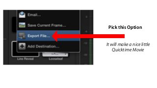 Pick this Option
It will make a nice little
Quicktime Movie
 