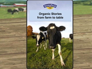 Organic Stories
from farm to table
 
