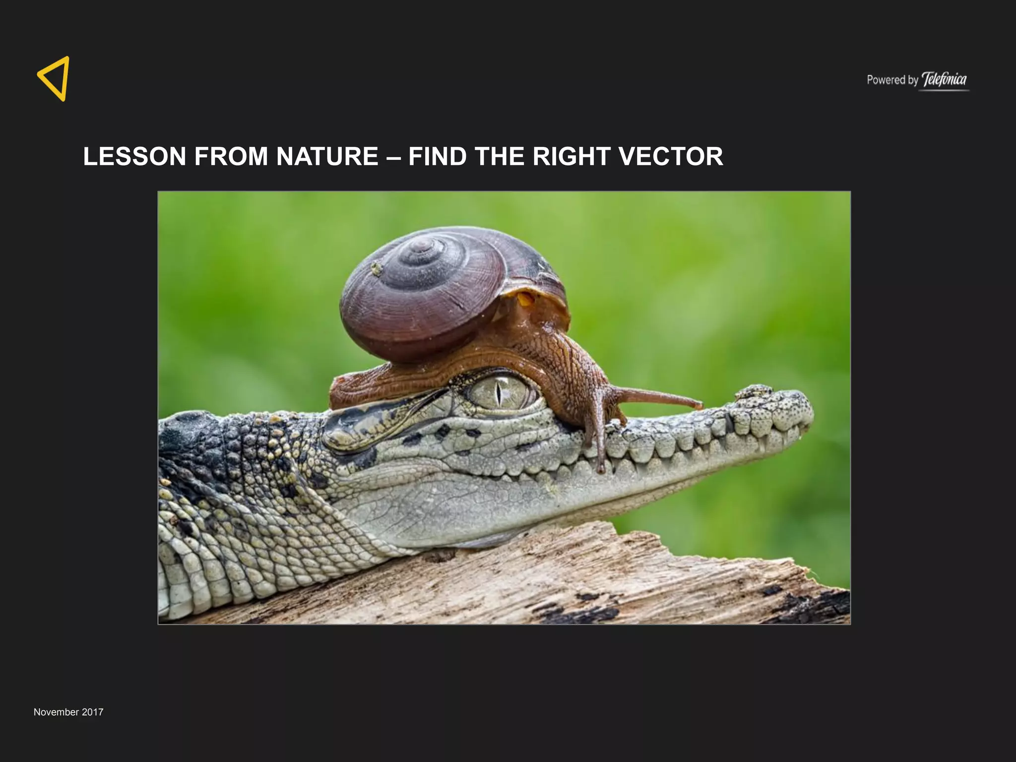 November 2017
LESSON FROM NATURE – FIND THE RIGHT VECTOR
 
