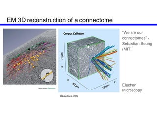 The future of connectomics
Expansion Microscopy + Molecular Barcoding
Church lab (Harvard), 2014
Boyden lab (MIT), 2014
mo...