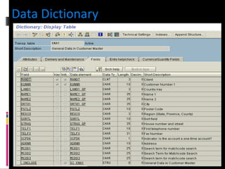 Data Dictionary 