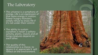 The Laboratory
• The universe is a symphony of
energy. Life is an expression of
that same energy in motion.
Power hungry monsters simply
refuse to enjoy life if it’s not
under their control.
• The ability to sustain ourselves
is never a solitary activity,
plants, insects and all living
creatures depend on each
other.
• The quality of this relationship
is a choice, to ignore it or
appreciate it will reflect on the
environment.
 