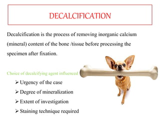 DECALCIFICATION
Decalcification is the process of removing inorganic calcium
(mineral) content of the bone /tissue before processing the
specimen after fixation.
Choice of decalcifying agent influenced
Urgency of the case
Degree of mineralization
Extent of investigation
Staining technique required
 