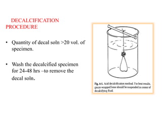 DECALCIFICATION
PROCEDURE
• Quantity of decal soln >20 vol. of
specimen.
• Wash the decalcified specimen
for 24-48 hrs –to remove the
decal soln.
 