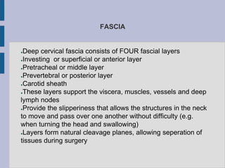 FASCIA
●Deep cervical fascia consists of FOUR fascial layers
●Investing or superficial or anterior layer
●Pretracheal or middle layer
●Prevertebral or posterior layer
●Carotid sheath
●These layers support the viscera, muscles, vessels and deep
lymph nodes
●Provide the slipperiness that allows the structures in the neck
to move and pass over one another without difficulty (e.g.
when turning the head and swallowing)
●Layers form natural cleavage planes, allowing seperation of
tissues during surgery
 