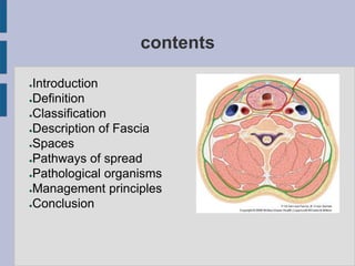 contents
●Introduction
●Definition
●Classification
●Description of Fascia
●Spaces
●Pathways of spread
●Pathological organisms
●Management principles
●Conclusion
 