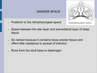 DANGER SPACE
● Posterior to the retropharyngeal space
● Space between the alar layer and prevertebral layer of deep
fascia
● So named because it contains loose areolar tissue and
● offers little resistance to spread of infection
● Runs from the skull base to diaphragm
 