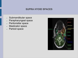 SUPRA HYOID SPACES
● Submandibular space
● Parapharyngeal space
● Peritonisllar space
● Masticator space
● Partoid space
 