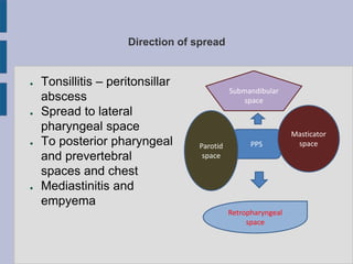 Direction of spread
● Tonsillitis – peritonsillar
abscess
● Spread to lateral
pharyngeal space
● To posterior pharyngeal
and prevertebral
spaces and chest
● Mediastinitis and
empyema
PPSParotid
space
Masticator
space
Submandibular
space
Retropharyngeal
space
 
