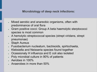Microbiology of deep neck infections:
● Mixed aerobic and anareobic organisms, often with
predominance of oral flora
● Gram positive cocci: Group A beta haemolytic sterptococci
species is most common
● A hemolytic streptococcal species (strept viridans, strept
pneumonae)
● Staph Aureus
● Fusobacterium nucleatum, bactreoids, spirtochaeta,
● Klebsiella and Neisseria species found together
● Ocassionaly H influenza and E coli also isolated
● Poly microbial culture in 90% of patients
● Aerobes in 100%
● Anaerobes in more than 50%
 