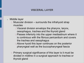 VISCERAL LAYER
● Middle layer
Muscular division – surrounds the infrahyoid strap
muscles
Visceral division envelops the pharynx, larynx,
oesophagus, trachea and the thyroid gland
Passes inferiorly into the upper mediastinum where it
is continious with the fibrous pericardium and covers
the trachea and oesophagus
Above hyoid this layer continues on the posterior
pharyngeal wall as the buccopharyngeal fascia
Primary surgical significance of this layer is it must be
divided in midline in a surgical approach to trachea or
thyroid gland
 