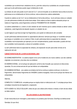 nucleótidos que se denominan cebadores de arn y permite colocar los nucleótidos de complementarios
para que la adn polimerasa pueda seguir sintetizando el adn.
La síntesis de adn solo puede ocurrir solo de 5´a 3´ como la horquilla se va abriendo hacia arriba la enzima
polimerasa se va sintetizando en forma continua, esta se denomina cadena adelantada.
Cuando la cadena va de 3´a 5 ´se va sintetizando en forma discontinua, la arn primasa coloca un cebador
y la adn polimerasa sintetiza de arriba hacia abajo. Esta cadena se llama cadena retrasada porque se
realiza en fragmentos, estos fragmentos se llaman FRAGMENTOS DE OKAZAKI
La cadena adelantada va a tener un solo cebador de adn mientras que la cadena retrada va atener varios
cebadores, cada fragmento de okazaki requiere un cebador de arn.
La adn ligasa lo que hace es ligar los fragmentos y así quede la molécula de adn completa
La adn polimerasa además de tener la capacidad de adicionar siempre que tenga un nucleótido siempre
que tenga un nucleótido con un carbono 3´libre, la adn polimerasa tiene la capacidad de detectar
nucleótidos mal incorporados por ejemplo q no son complementarios, puede retroceder y puede eliminar
ese nucleótido mal incorporado y colocar el nucleótido correcto.
La adn polimerasa tiene la capacidad de síntesis y de reparación de adn para evitar errores en la
replicación del adn
CARACTERISTICAS DE LA REPLICACIONDEL ADN
ES SEMICONSERVATIVA: la cadena original sirve como modelo de una nueva cadena. Las dos cadenas
originales se conservan y las otras dos se sintetizan
ES BIDIRECCIONAL: en la burbuja de replicación se forma dos horquilla que avanzan en direcciones
opuestas. Es una consecuencias de que las hebras son antiparalelas
ES SEMIDISCONTINUA: una cadena se sintetiza de forma continua (cadena continua) y la otra de a
fragmentos, denominados fragmentos de OKAZAKI (cadena rezagada). Esto ocurre porque las hebras son
antiparalelas.
Además,
COMPLETA Y COMPLEJA: completa porque se duplica toda la molécula de adn. Y compleja porque tiene
complejos mecanismos de regulación y reparación.
ESTA LIGADA AL CICLO CELULAR: antes de que una célula sufra mitosis o meiosis, el adn de esa célula
se debe replicar
DE LOS GENES ALAS PROTEINAS
El adn transcribe al arn mensajero y este traduce a la proteína para formarse. Este flujo es bidireccional
Genotipo (lo que dice)
 