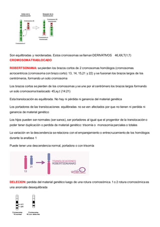 Son equilibradas y reordenadas. Estos cromosomas se llaman DERIVATIVOS 46,XX,T(1;7)
CROMOSOMATRASLOCADO
ROBERTSONIANA: se pierden los brazos cortos de 2 cromosomas homólogos (cromosomas
acrocentricos (cromosoma con brazo corto): 13, 14, 15,21 y 22) y se fusionan los brazos largos de los
centrómeros, formando un solo cromosoma
Los brazos cortos se pierden de los cromosomas y se une por el centrómero los brazos largos formando
un solo cromosoma traslocado 45,xy,t (14:21)
Esta translocación es equilibrada. No hay ni pérdida ni ganancia del material genética
Los portadores de las translocaciones equilibradas no se ven afectados por que no tienen ni perdida ni
ganancia de material genético
Los hijos pueden ser normales (ser sanos), ser portadores al igual que el progenitor de la translocación o
poder tener duplicación o perdida de material genético: trisomía o monosomia parciales o totales
La variación en la descendencia se relaciona con el emparejamiento o entrecruzamiento de los homólogos
durante la anafase 1
Puede tener una descendencia normal, portadora o con trisomía
DELECION:perdida del material genético luego de una rotura cromosómica. 1 o 2 rotura cromosómica es
una anomalía desequilibrada
 