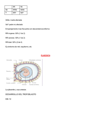 XA Xa
Xa XAXa XaXa
Y XAY XaY
XAXa madre afectada
XaY padre no afectado
Emparejamiento mas frecuente con descendencia enferma
RR mujeres: 50% (1 de 2)
RR varones: 50% (1 de 2)
RR total: 50% (2 de 4)
Ej síndrome de rett, raquitismo, etc
PLACENTA
La placenta y sus anexos
DESARROLLO DEL TROFOBLASTO
DIA 12
 