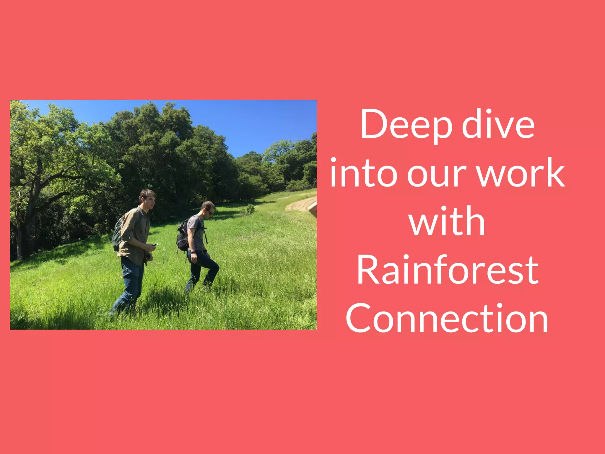 Deep dive
into our work
with
Rainforest
Connection
 