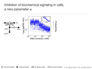 Inhibition of biochemical signaling in cells,
a new parameter 𝛼
L c SRC
pMEK MEKi
ppERK
In preparation for publicationChemical SpeciesChemical Complex Enzymatic reaction Enzymatic Inhibition
 