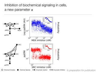 Inhibition of biochemical signaling in cells,
a new parameter 𝛼
L c SRC
pMEK MEKi
ppERK
L c SRC
SRCi
pMEK
ppERK
In preparation for publicationChemical SpeciesChemical Complex Enzymatic reaction Enzymatic Inhibition
 