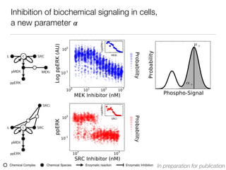 Inhibition of biochemical signaling in cells,
a new parameter 𝛼
L c SRC
pMEK MEKi
ppERK
L c SRC
SRCi
pMEK
ppERK
In preparation for publicationChemical SpeciesChemical Complex Enzymatic reaction Enzymatic Inhibition
 