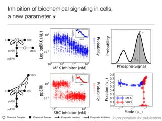Inhibition of biochemical signaling in cells,
a new parameter 𝛼
L c SRC
pMEK MEKi
ppERK
L c SRC
SRCi
pMEK
ppERK
In preparation for publicationChemical SpeciesChemical Complex Enzymatic reaction Enzymatic Inhibition
 