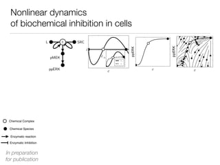 Nonlinear dynamics
of biochemical inhibition in cells
Chemical Species
Chemical Complex
Enzymatic reaction
Enzymatic Inhibition
In preparation
for publication
 