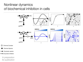 Nonlinear dynamics
of biochemical inhibition in cells
Chemical Species
Chemical Complex
Enzymatic reaction
Enzymatic Inhibition
L c SRC
pMEK MEKi
ppERK
[MEKi] [MEKi]
In preparation
for publication
 