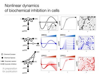 Nonlinear dynamics
of biochemical inhibition in cells
Chemical Species
Chemical Complex
Enzymatic reaction
Enzymatic Inhibition
L c SRC
SRCi
pMEK
ppERK
[SRCi] [SRCi]
L c SRC
pMEK MEKi
ppERK
[MEKi] [MEKi]
In preparation
for publication
 